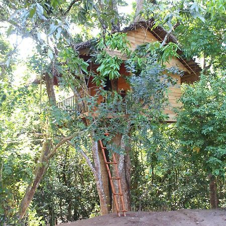 Tree House-Midigama Villa เวลิกามา ภายนอก รูปภาพ