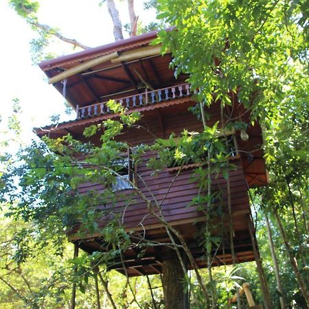 Tree House-Midigama Villa เวลิกามา ภายนอก รูปภาพ