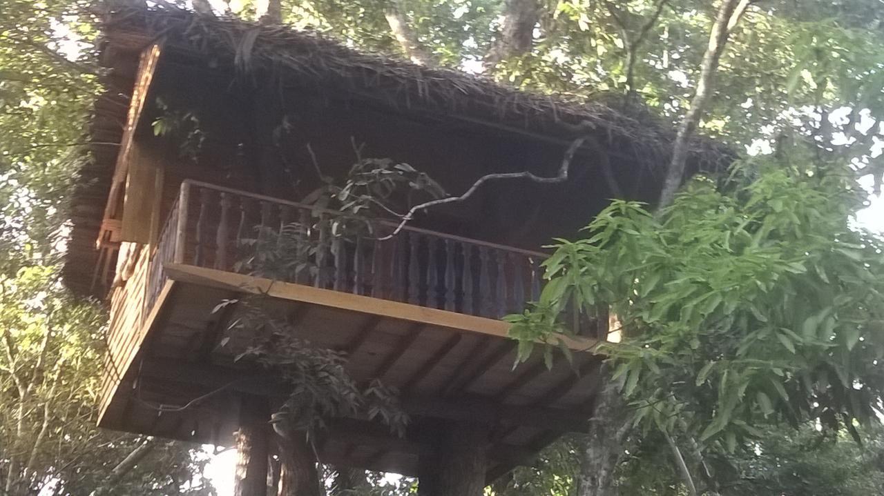 Tree House-Midigama Villa เวลิกามา ภายนอก รูปภาพ