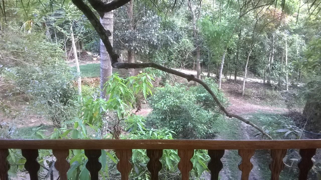 Tree House-Midigama Villa เวลิกามา ภายนอก รูปภาพ