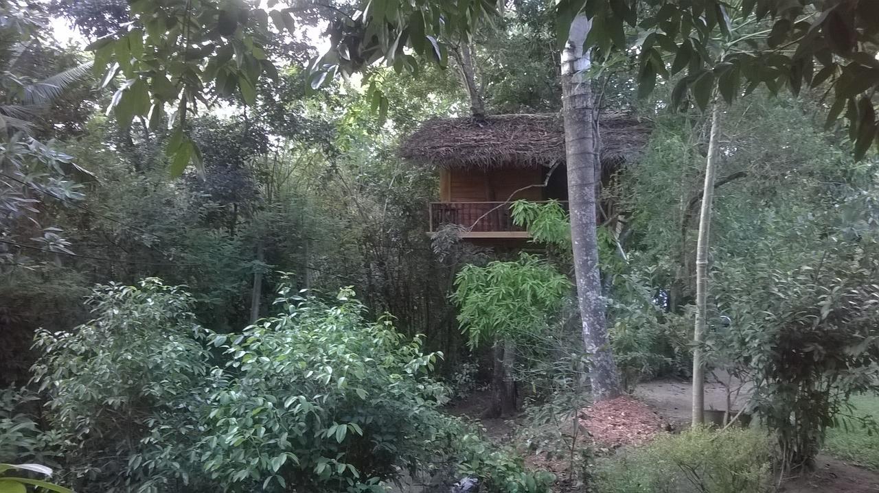 Tree House-Midigama Villa เวลิกามา ภายนอก รูปภาพ