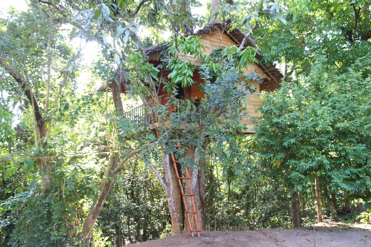 Tree House-Midigama Villa เวลิกามา ภายนอก รูปภาพ