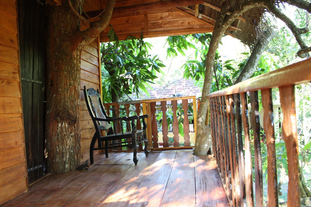 Tree House-Midigama Villa เวลิกามา ภายนอก รูปภาพ