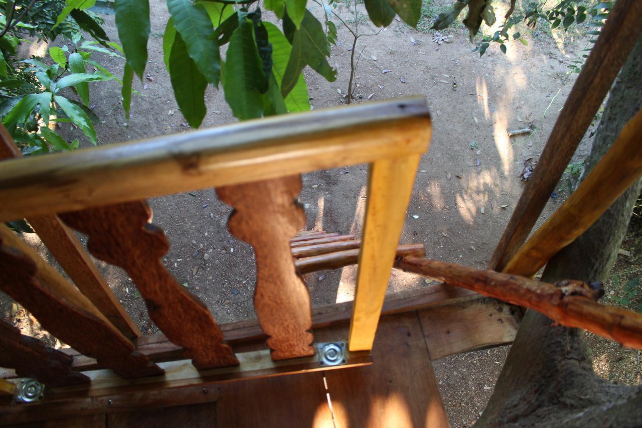 Tree House-Midigama Villa เวลิกามา ภายนอก รูปภาพ