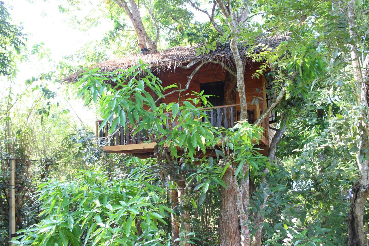Tree House-Midigama Villa เวลิกามา ภายนอก รูปภาพ