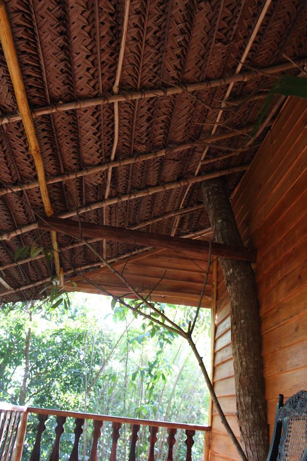 Tree House-Midigama Villa เวลิกามา ภายนอก รูปภาพ