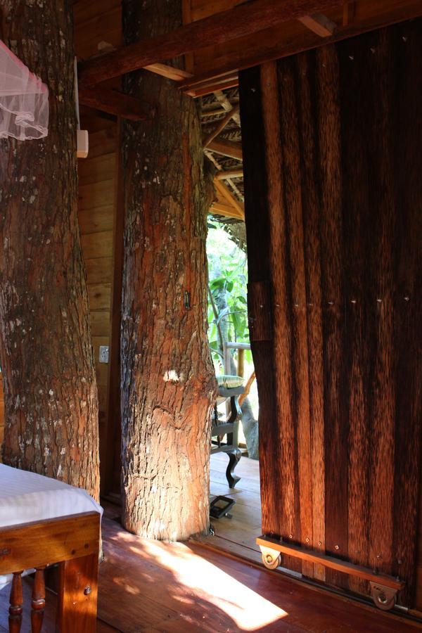 Tree House-Midigama Villa เวลิกามา ภายนอก รูปภาพ