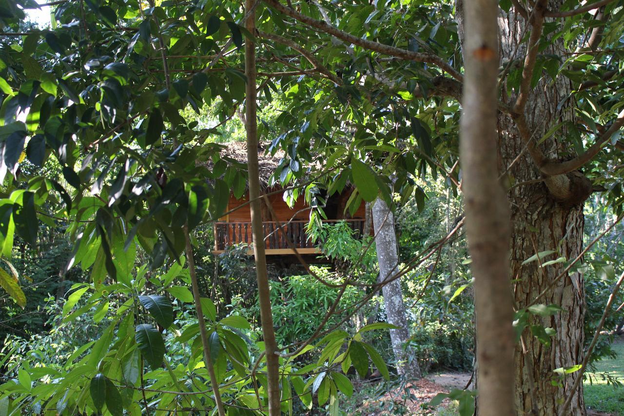Tree House-Midigama Villa เวลิกามา ภายนอก รูปภาพ