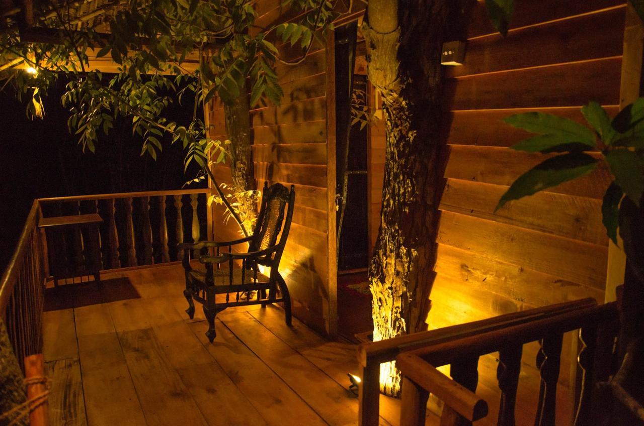 Tree House-Midigama Villa เวลิกามา ภายนอก รูปภาพ