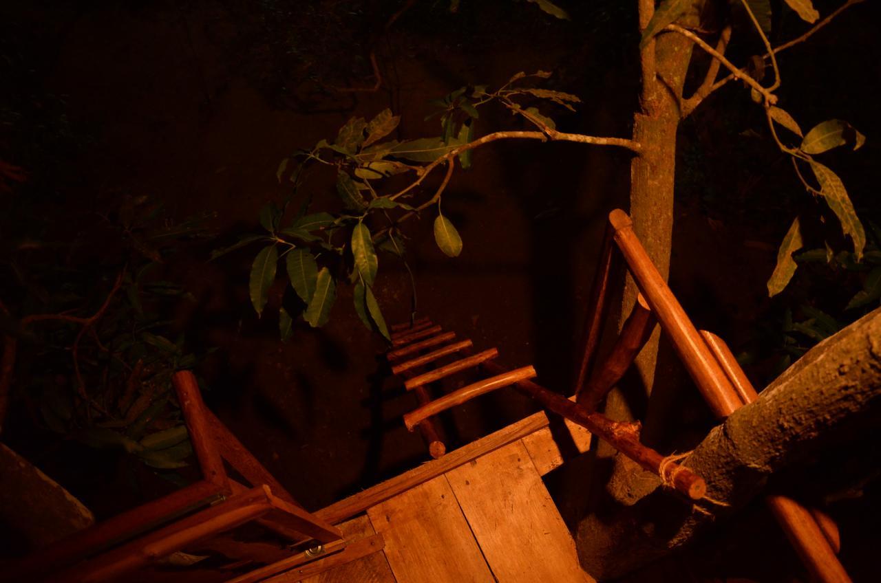Tree House-Midigama Villa เวลิกามา ภายนอก รูปภาพ