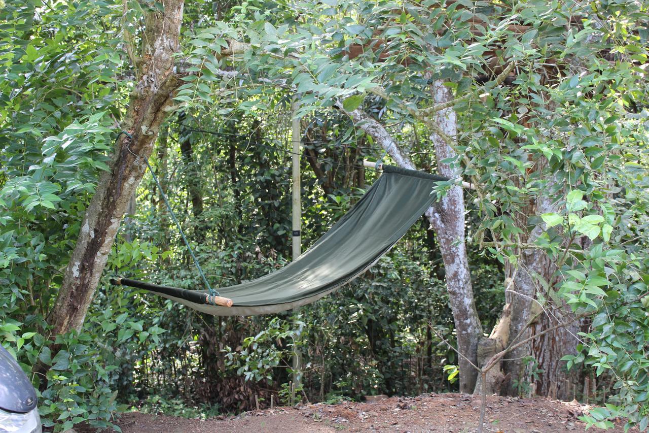 Tree House-Midigama Villa เวลิกามา ภายนอก รูปภาพ