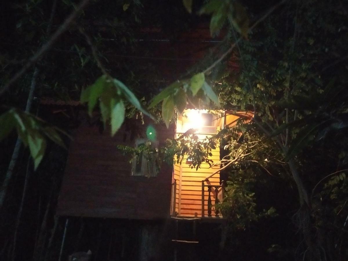 Tree House-Midigama Villa เวลิกามา ภายนอก รูปภาพ