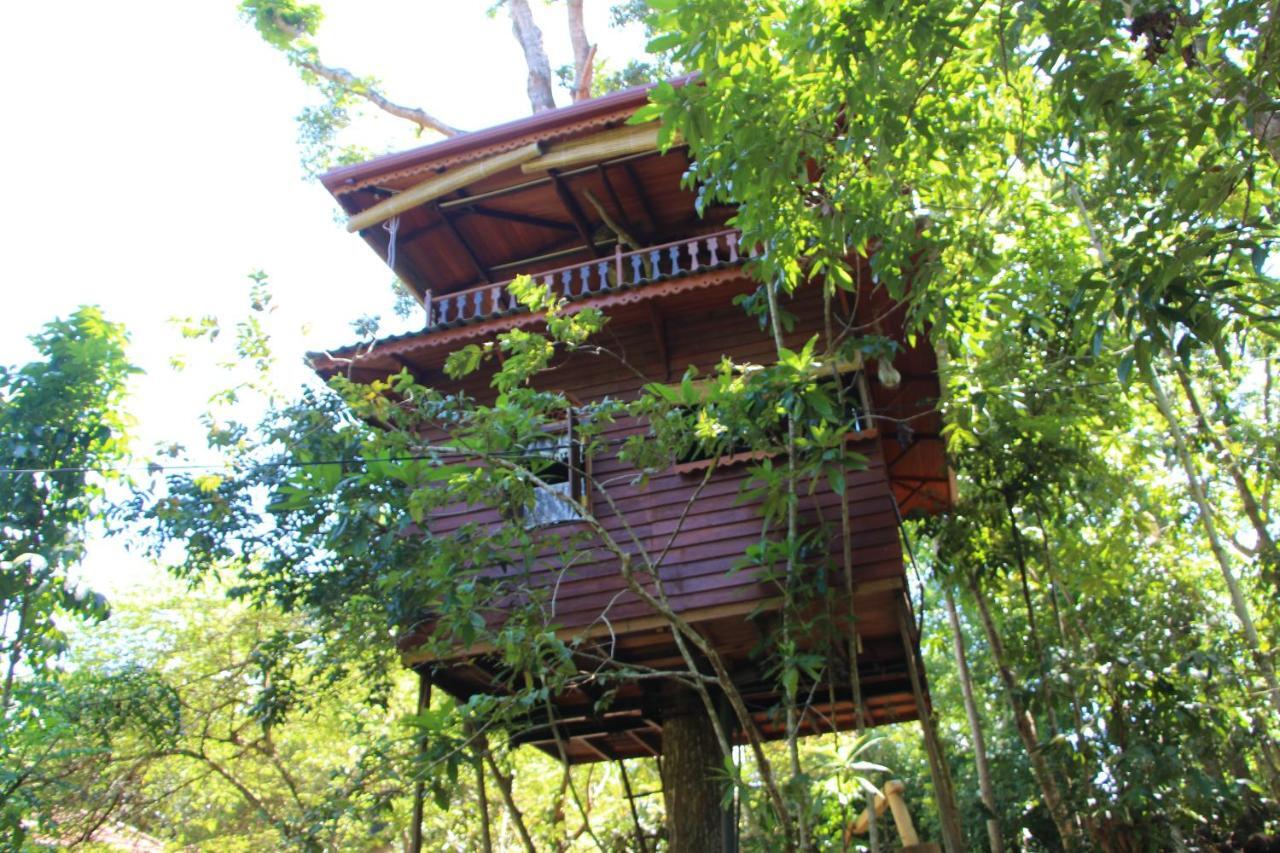Tree House-Midigama Villa เวลิกามา ภายนอก รูปภาพ