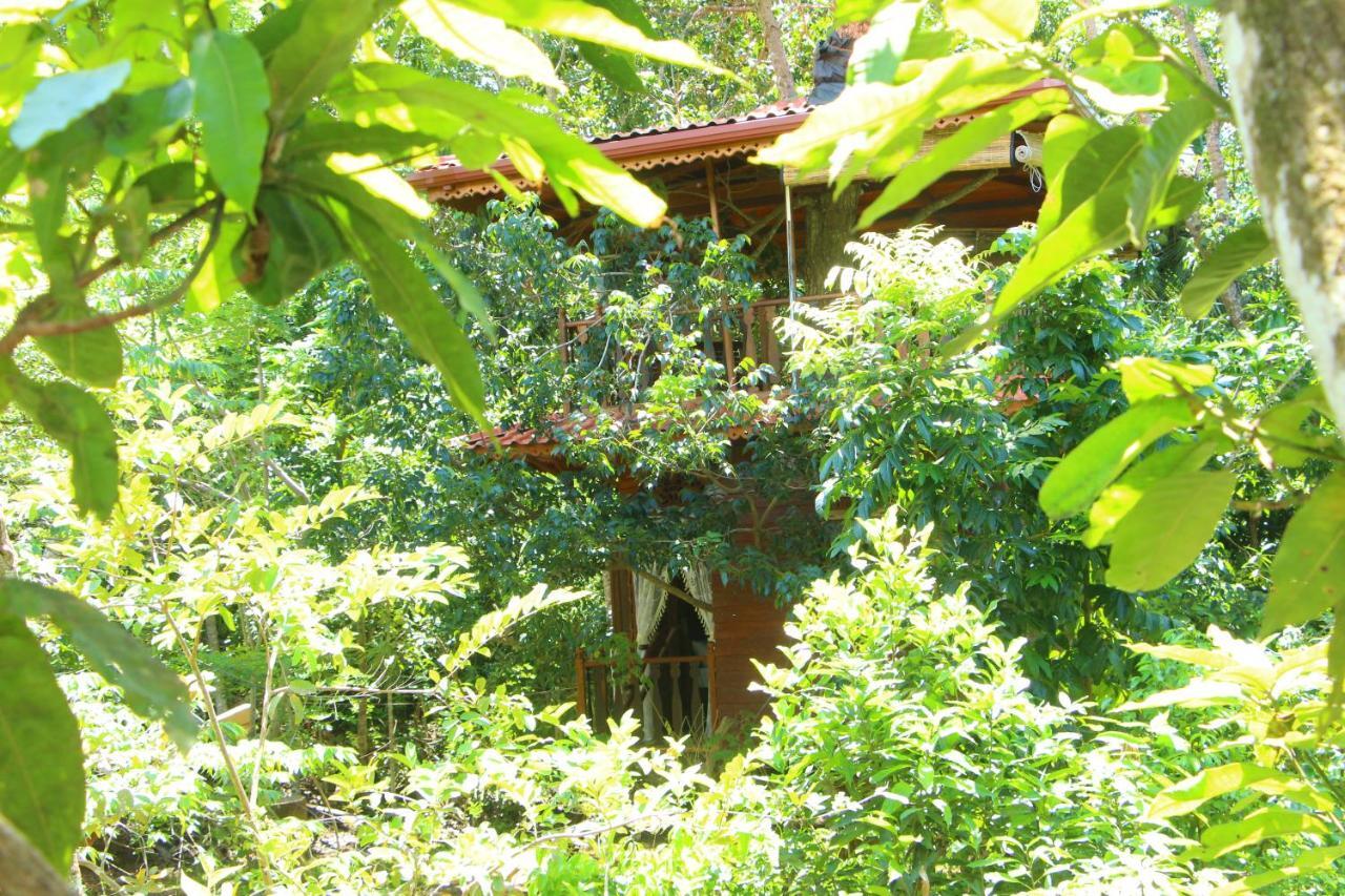 Tree House-Midigama Villa เวลิกามา ภายนอก รูปภาพ