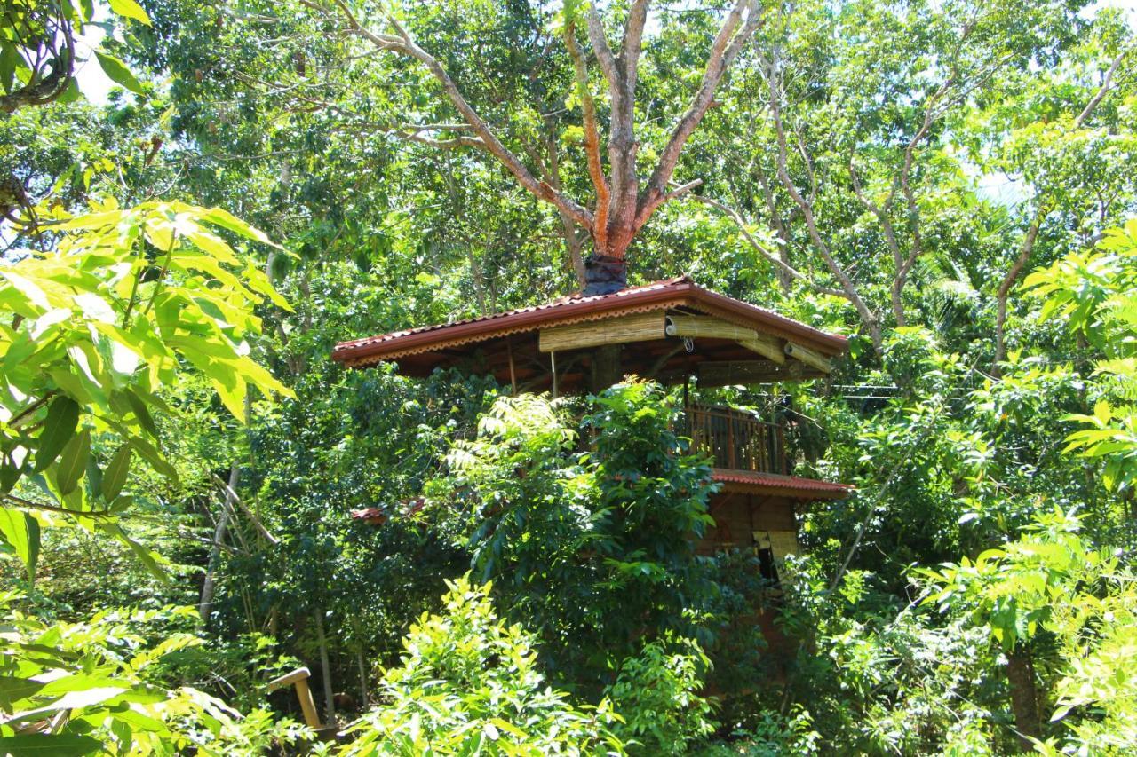 Tree House-Midigama Villa เวลิกามา ภายนอก รูปภาพ