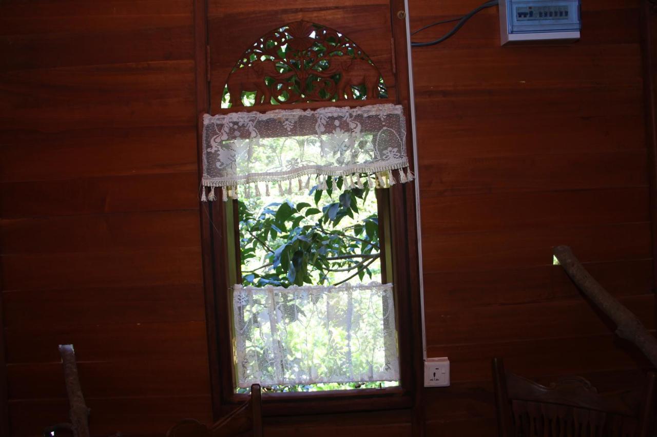 Tree House-Midigama Villa เวลิกามา ภายนอก รูปภาพ
