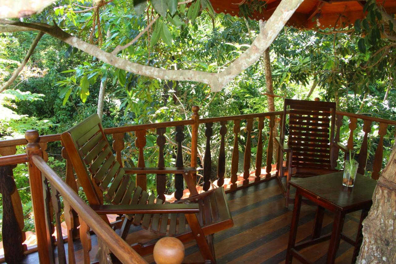Tree House-Midigama Villa เวลิกามา ภายนอก รูปภาพ