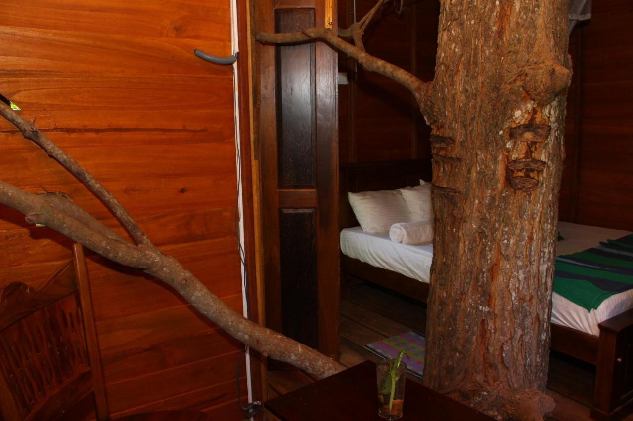 Tree House-Midigama Villa เวลิกามา ภายนอก รูปภาพ