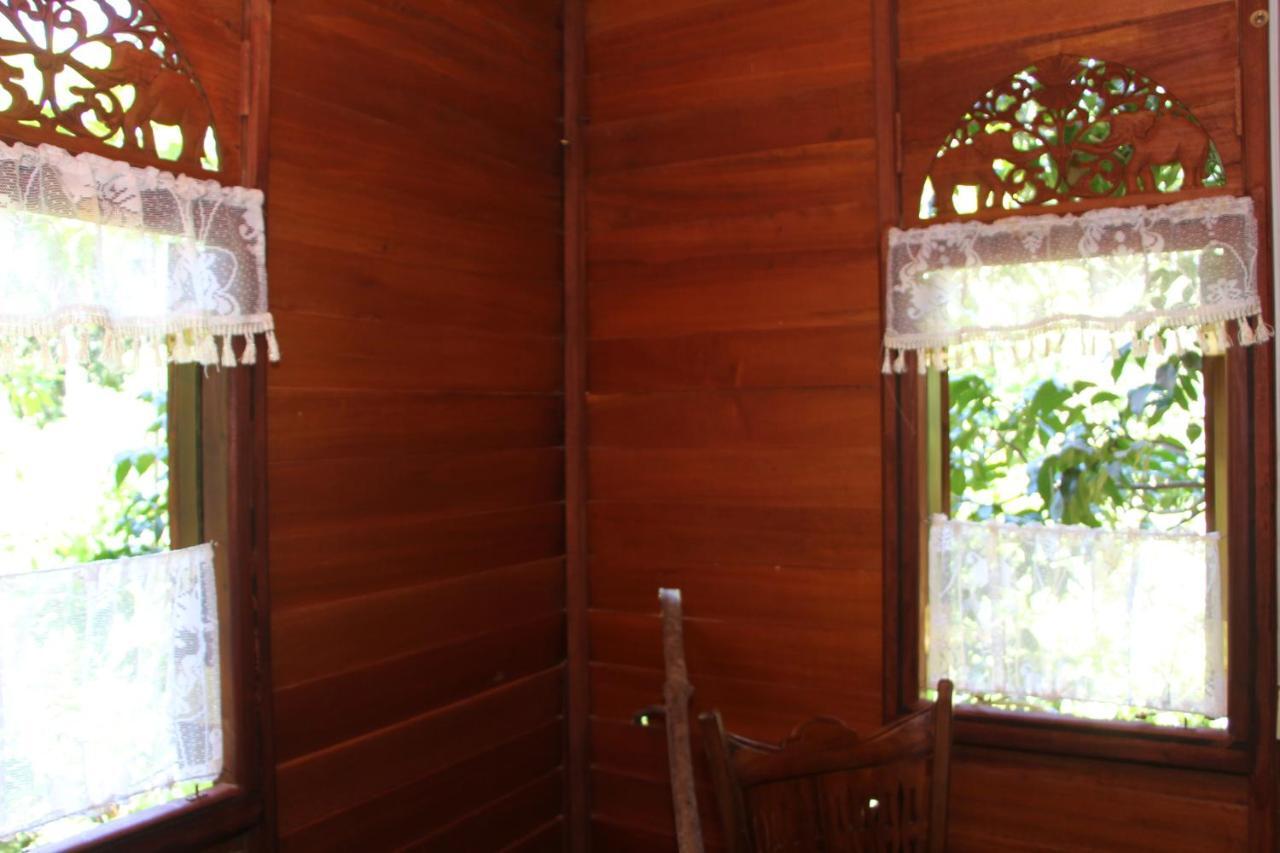 Tree House-Midigama Villa เวลิกามา ภายนอก รูปภาพ
