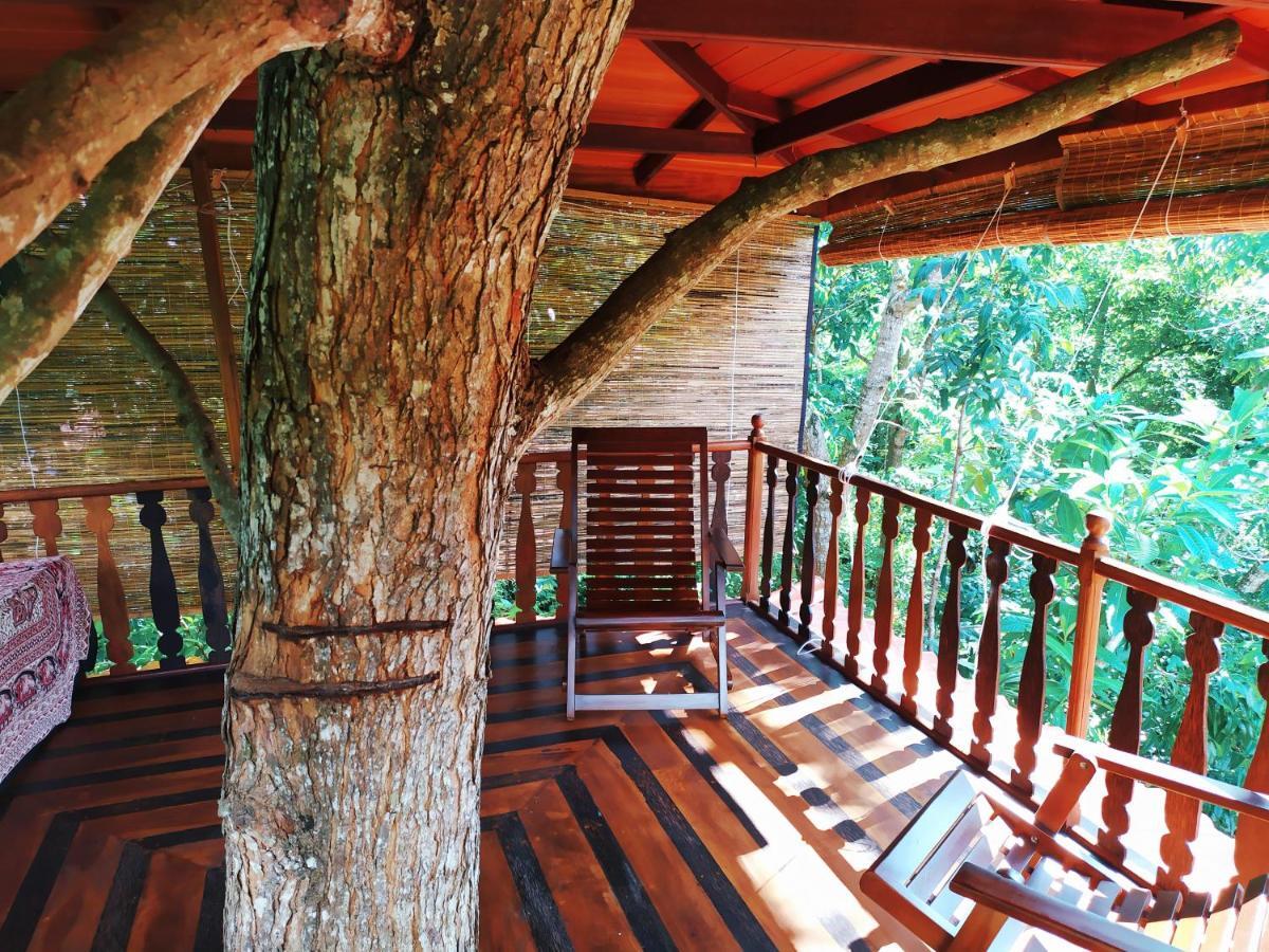 Tree House-Midigama Villa เวลิกามา ภายนอก รูปภาพ