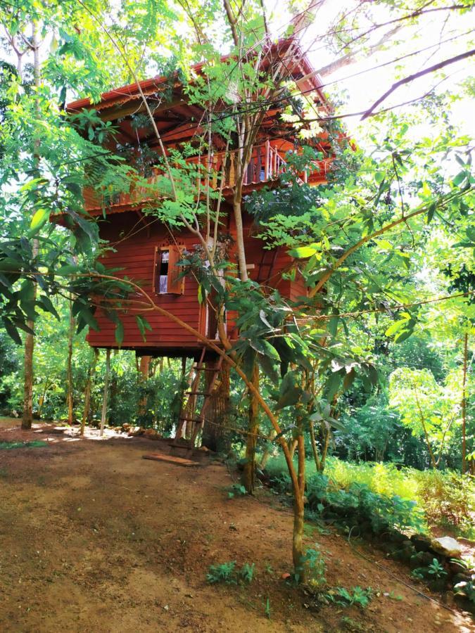Tree House-Midigama Villa เวลิกามา ภายนอก รูปภาพ