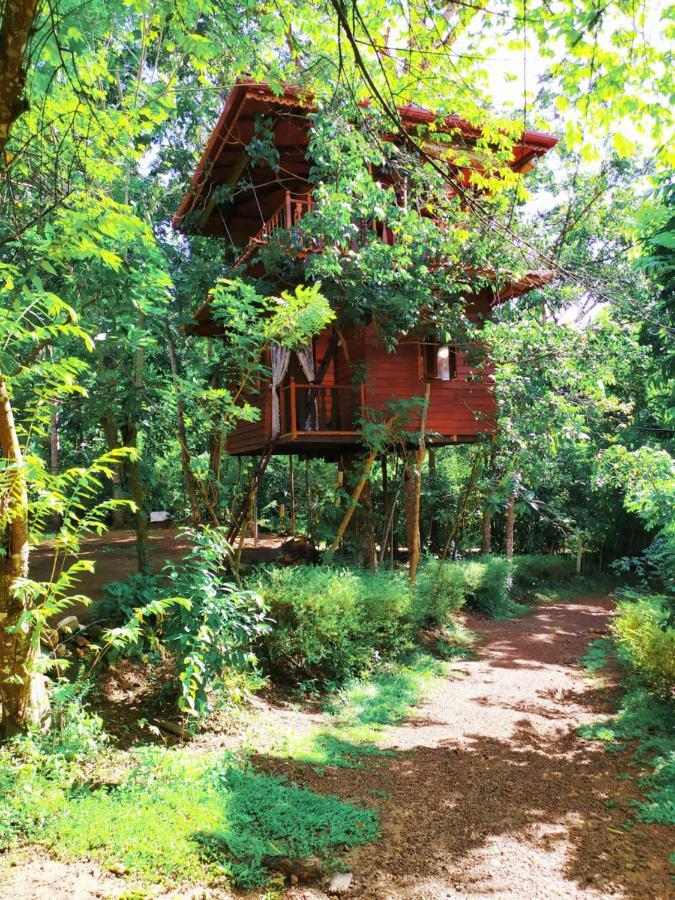 Tree House-Midigama Villa เวลิกามา ภายนอก รูปภาพ