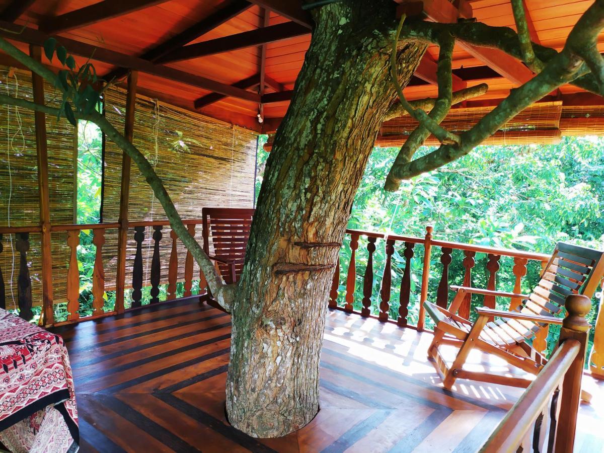 Tree House-Midigama Villa เวลิกามา ภายนอก รูปภาพ